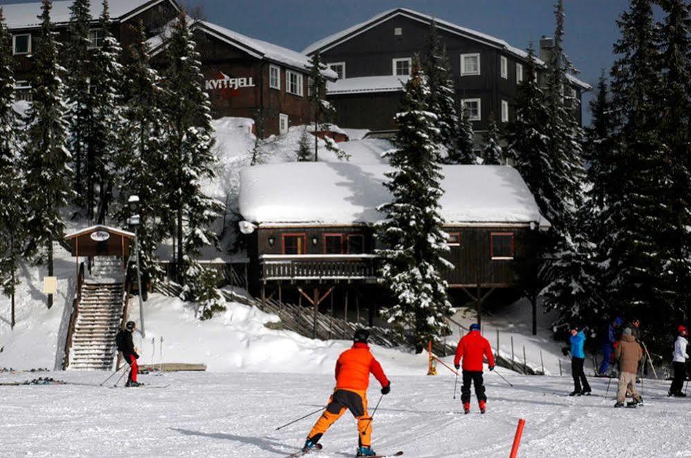 Kvitfjell Alpinhytter Kvitfjellvegen 492 Exterior foto
